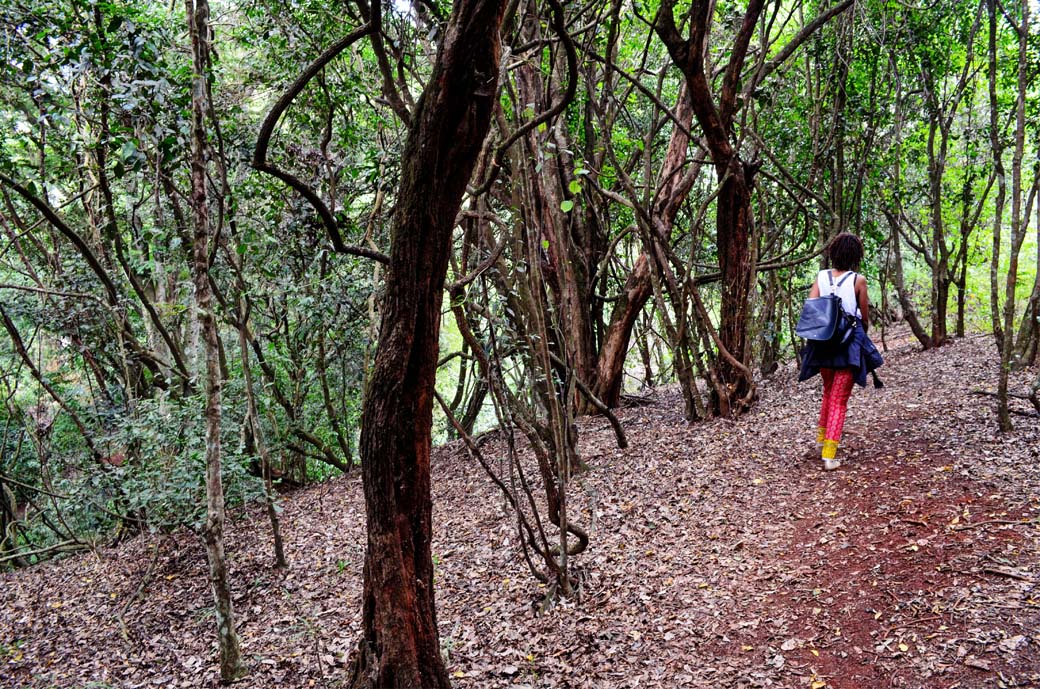 Oloolua Nature Trail_stroll