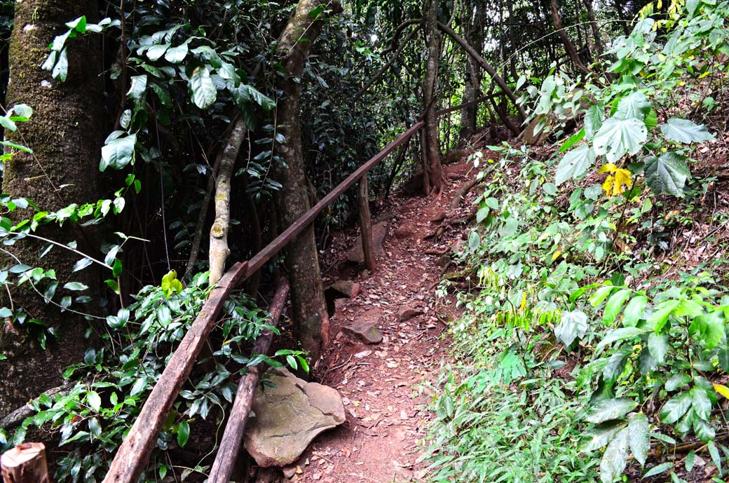 Oloolua Nature Trail_trail on slope
