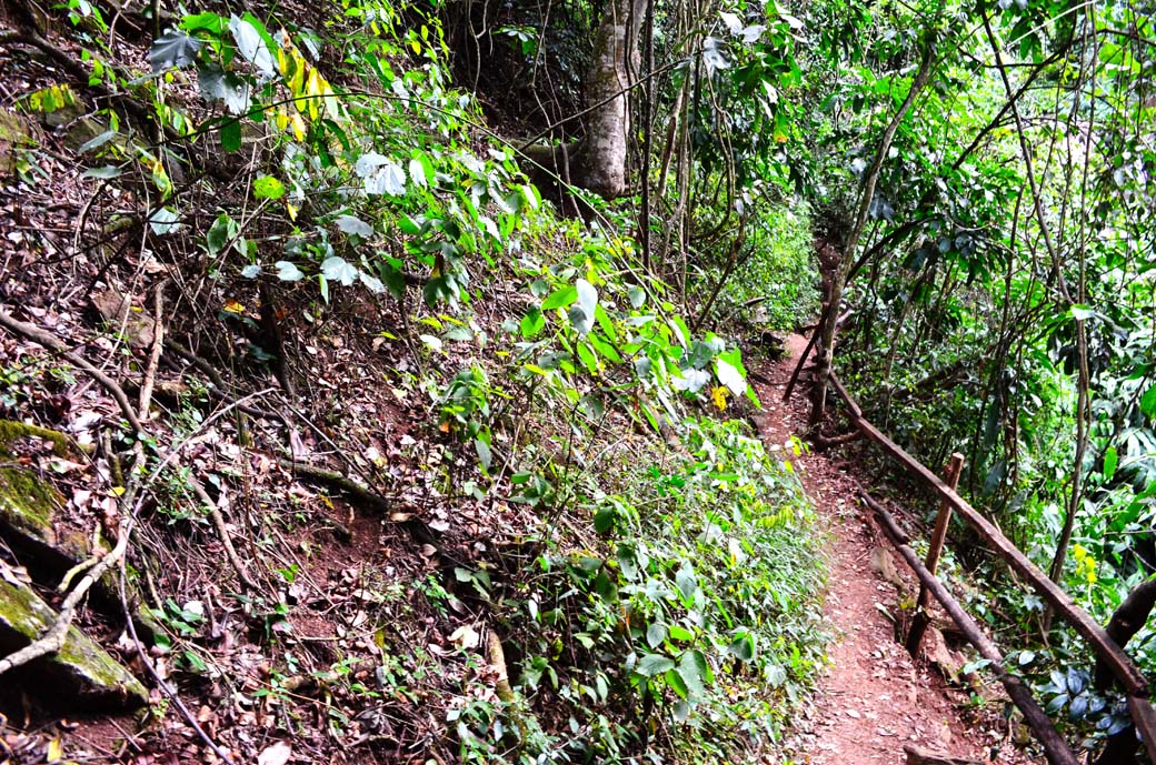 Oloolua Nature Trail_trail on slope2
