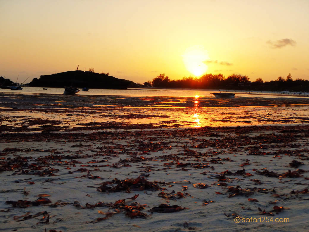 Watamu Beach_beach2