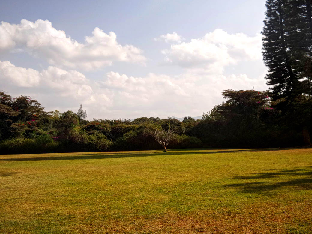 Karen Blixen Museum_Lawn