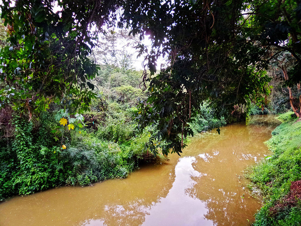 Masai Lodge_River