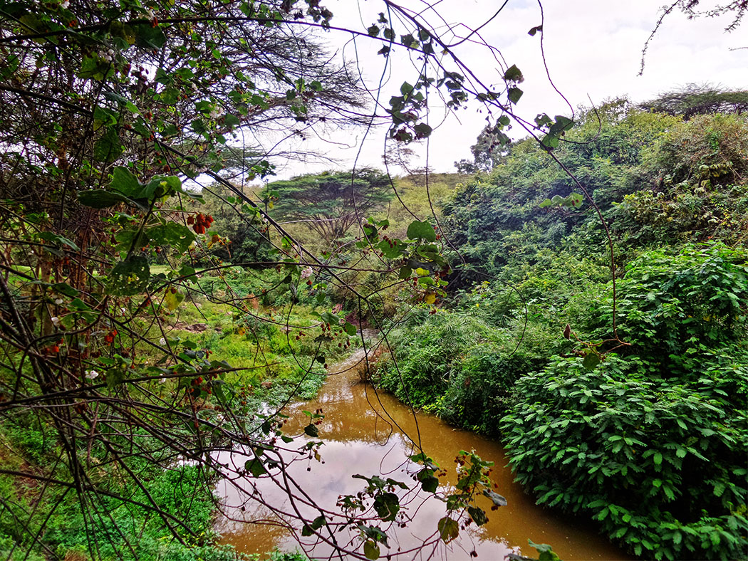 Masai Lodge_River1