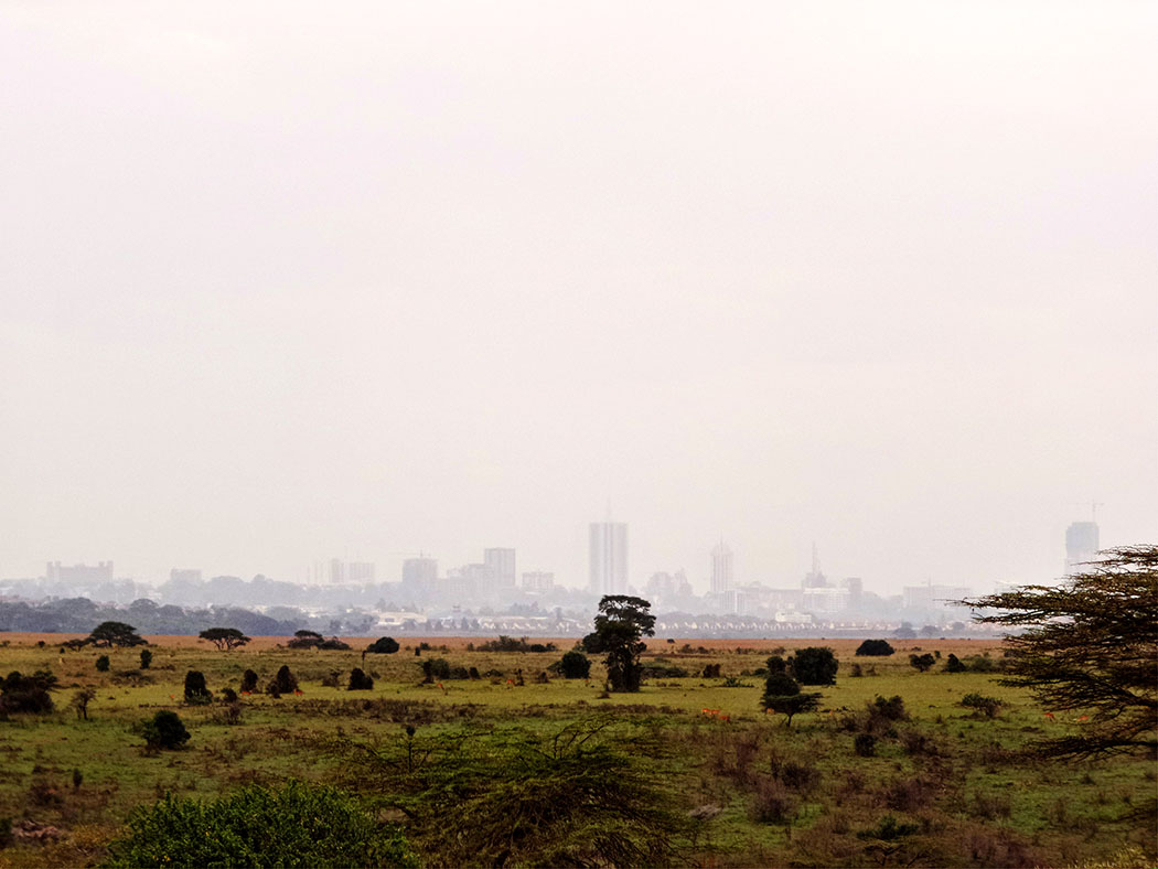 Masai Lodge_View of CBD