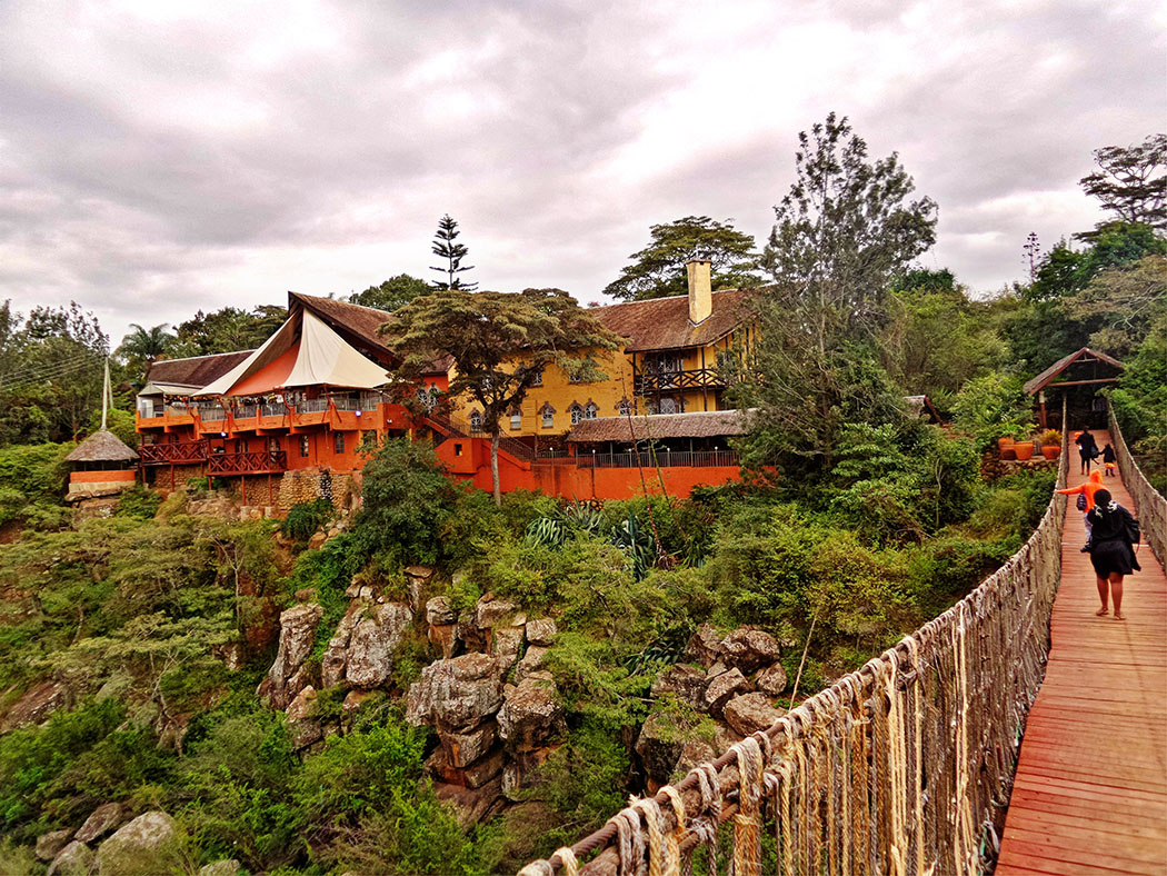 Rolf's Place_Bridge