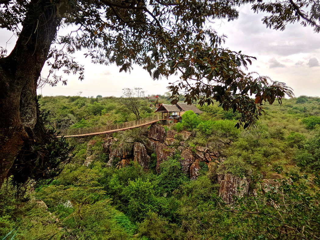 Rolf's Place_View