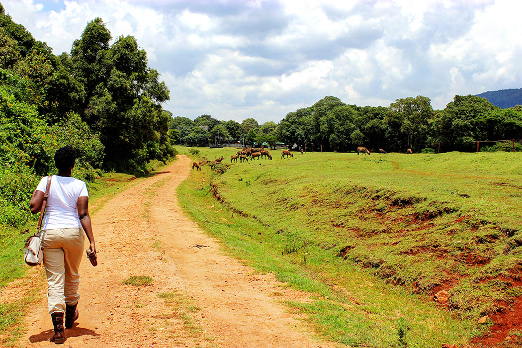 Unexpected Kenya day 1_Chela