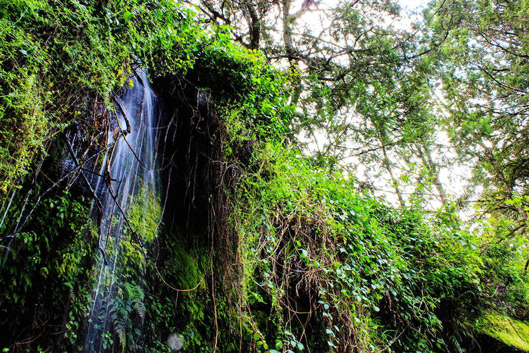 Unexpected Kenya day 1_Kitum Cave1