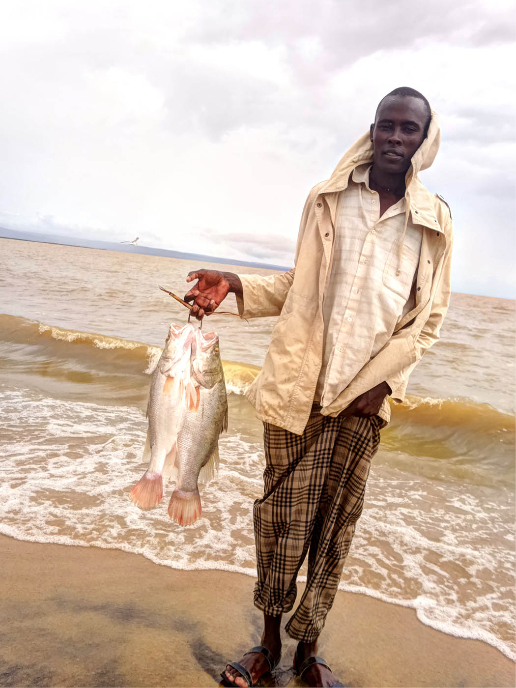 Unexpected Kenya_Nile perch