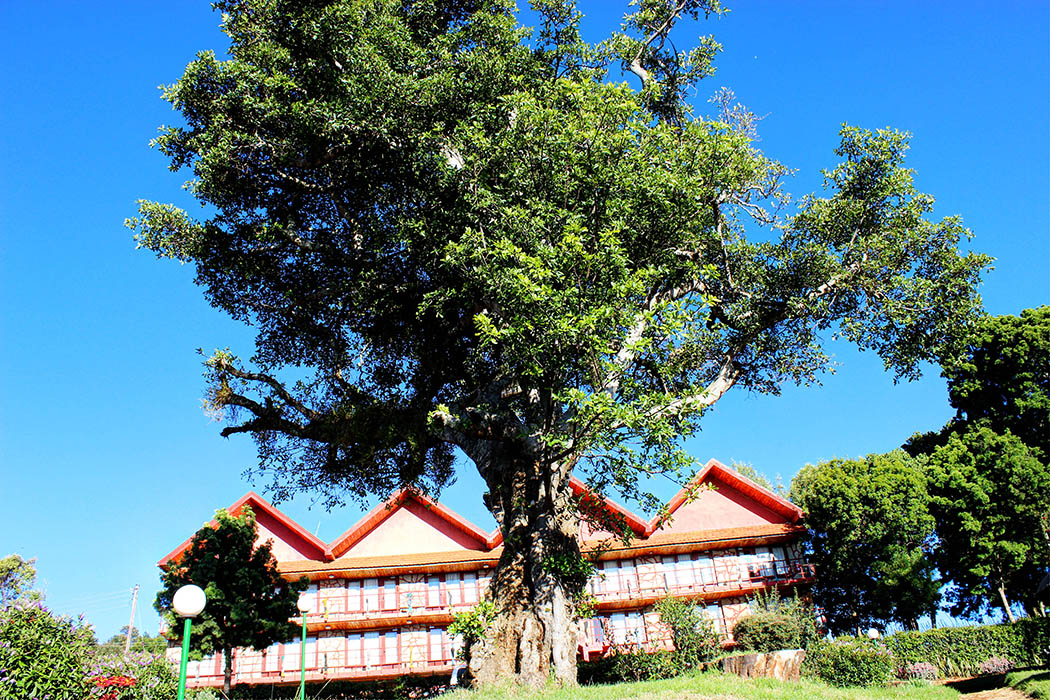 Kerio View Hotel_rooms