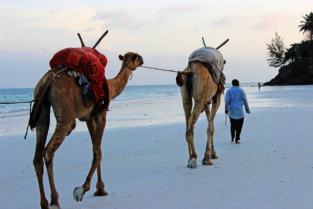 Sands at Nomad Hotel_Cameles on beach