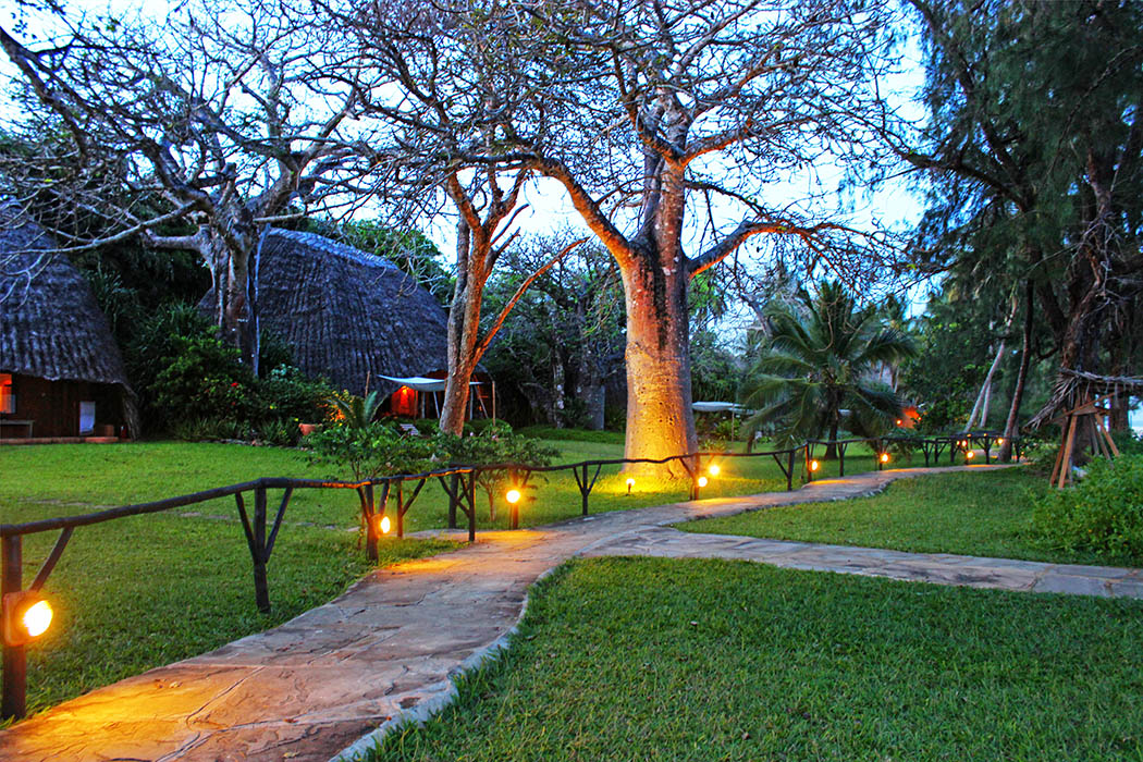 Sands at Nomad restaurant_baobab