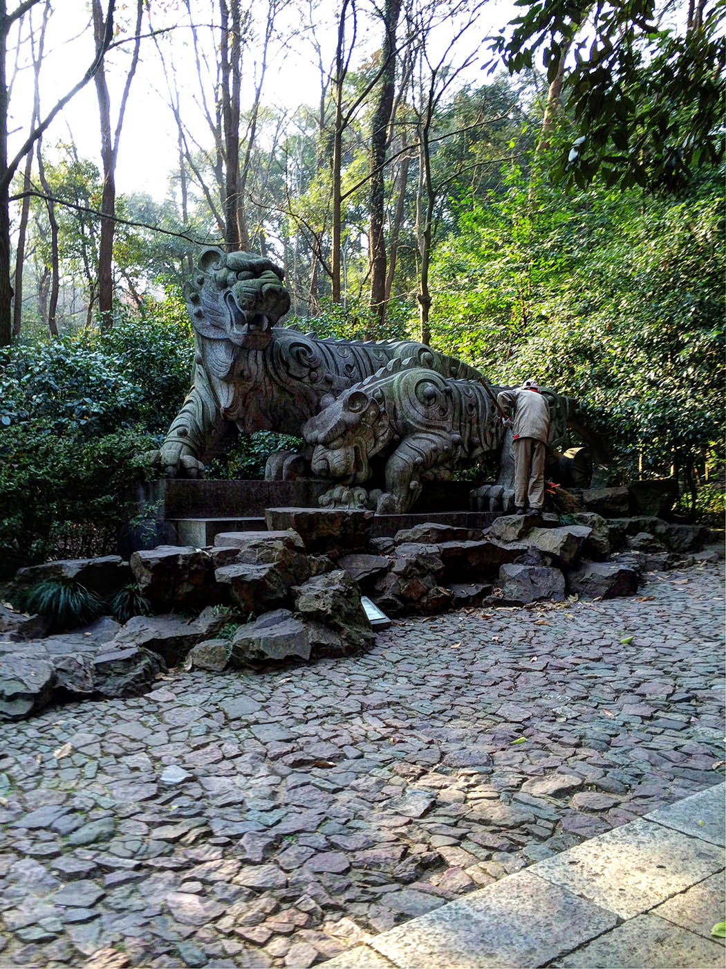 Hangzhou_Lots of Tigers