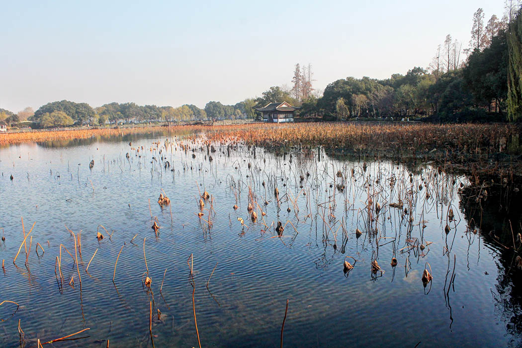 Hangzhou_Lotus Garden 2
