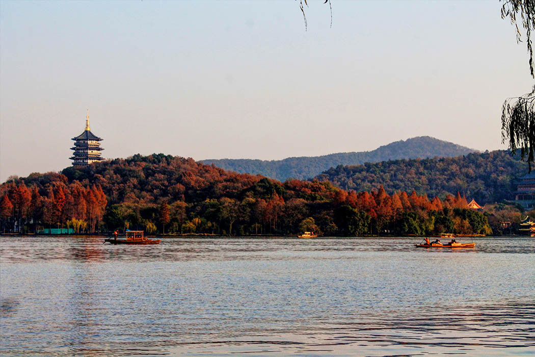 Hangzhou_automn bloom