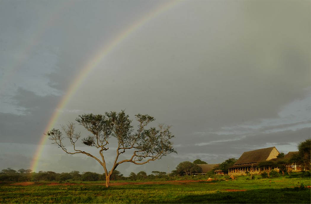 Kilaguni Serena safari Lodge_view