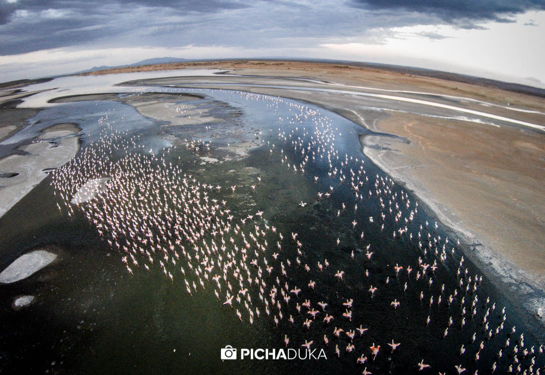 Mwangi_Kirubi_Magadi_Natron-11