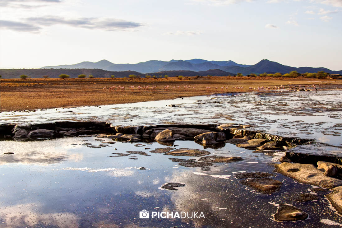 Mwangi_Kirubi_Magadi_Natron-17