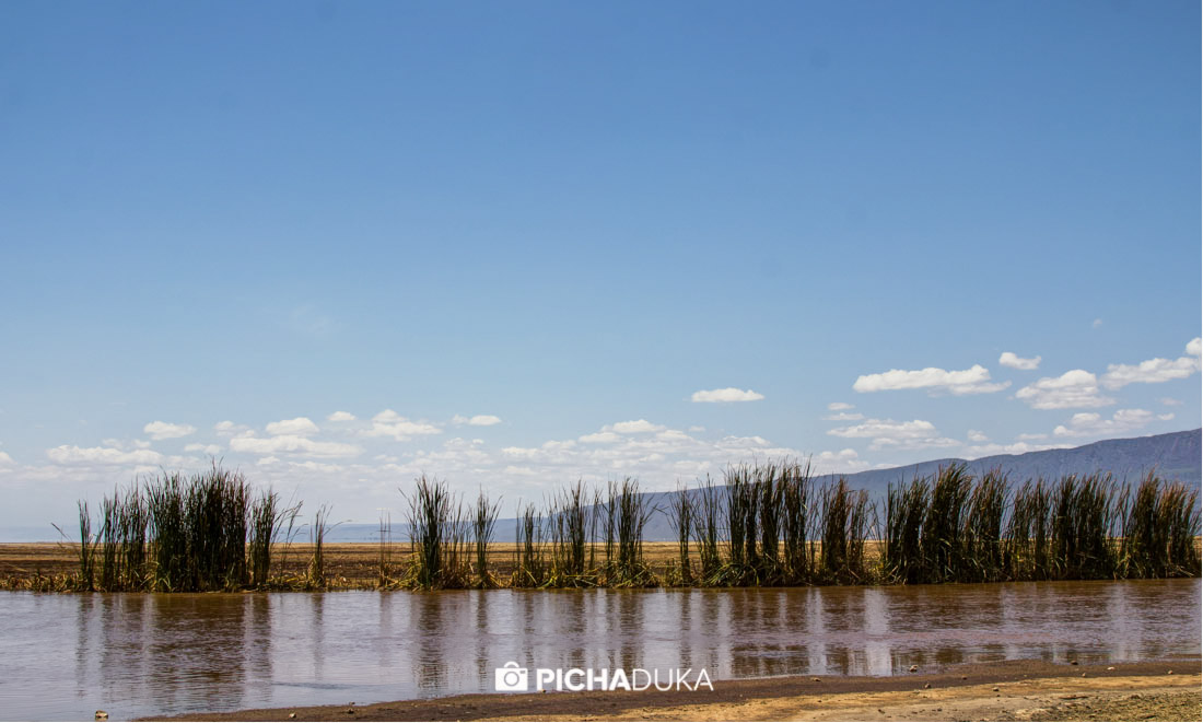 Mwangi_Kirubi_Magadi_Natron-31