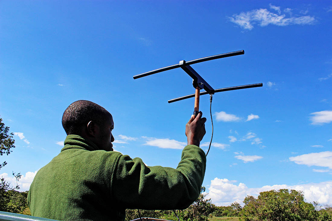 Ol Pejeta Conservancy_lion tracking