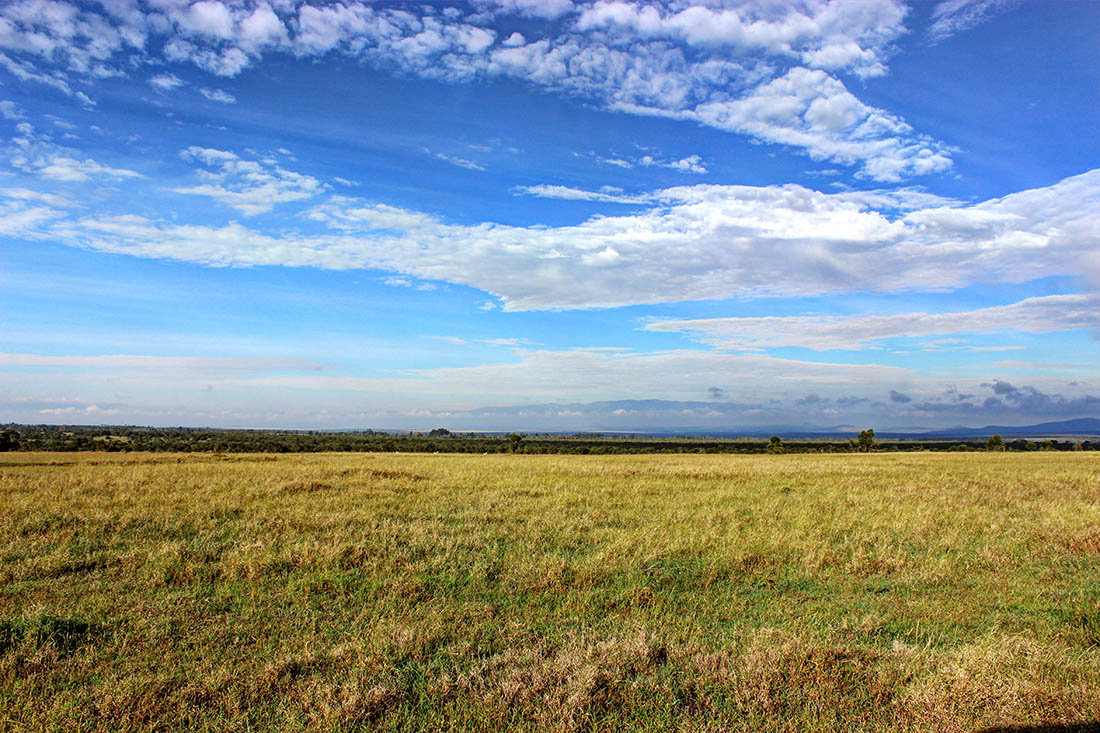 Ol Pejeta Conservancy_scenery