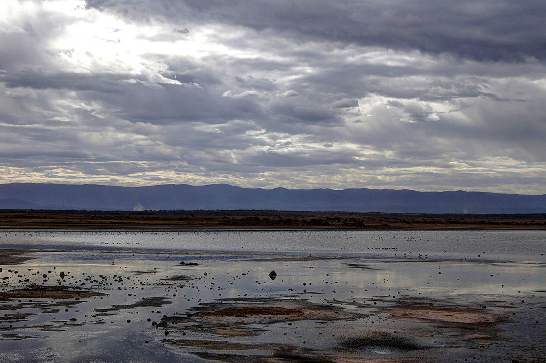 Lake Magadi