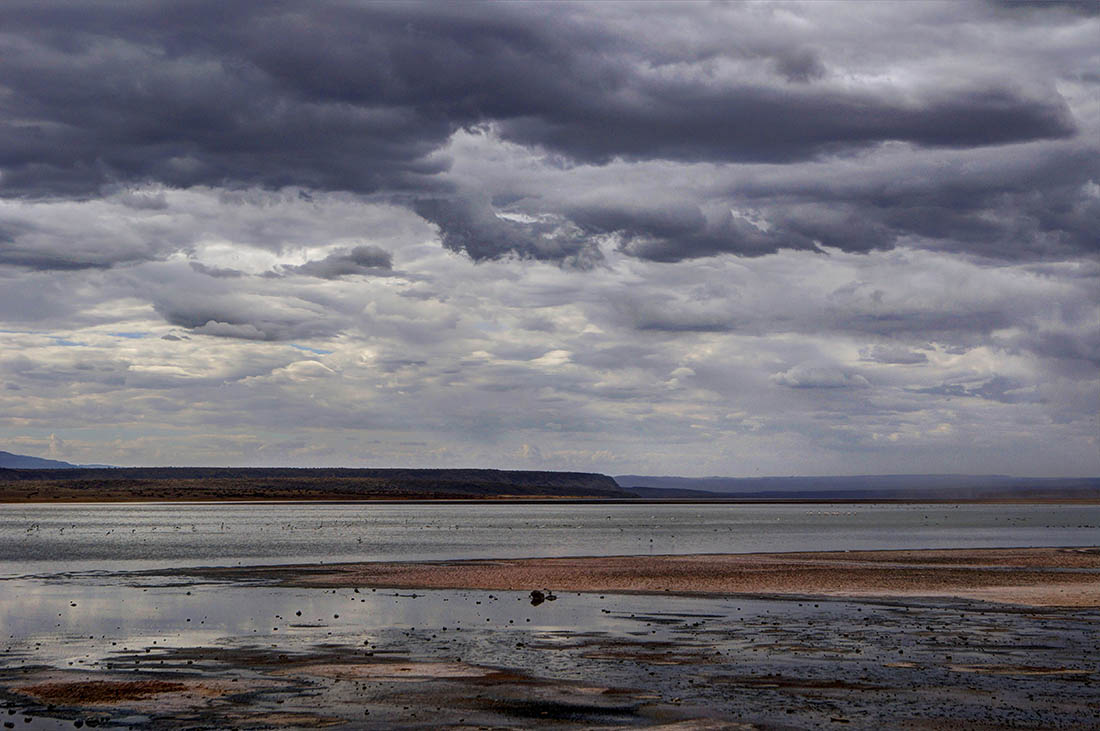 Lake Magadi1