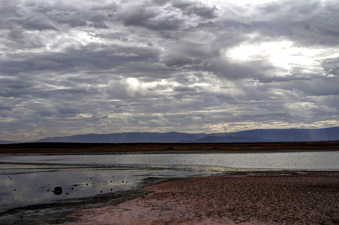 Lake Magadi2