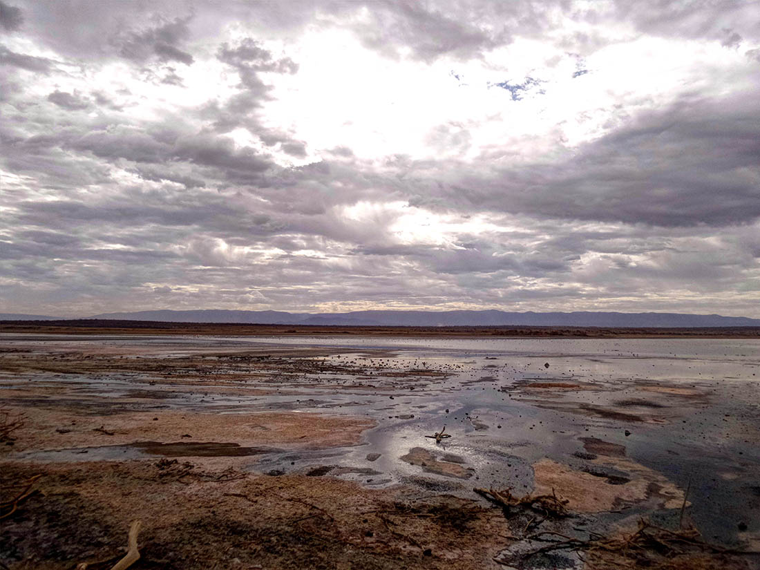 Lake Magadi5