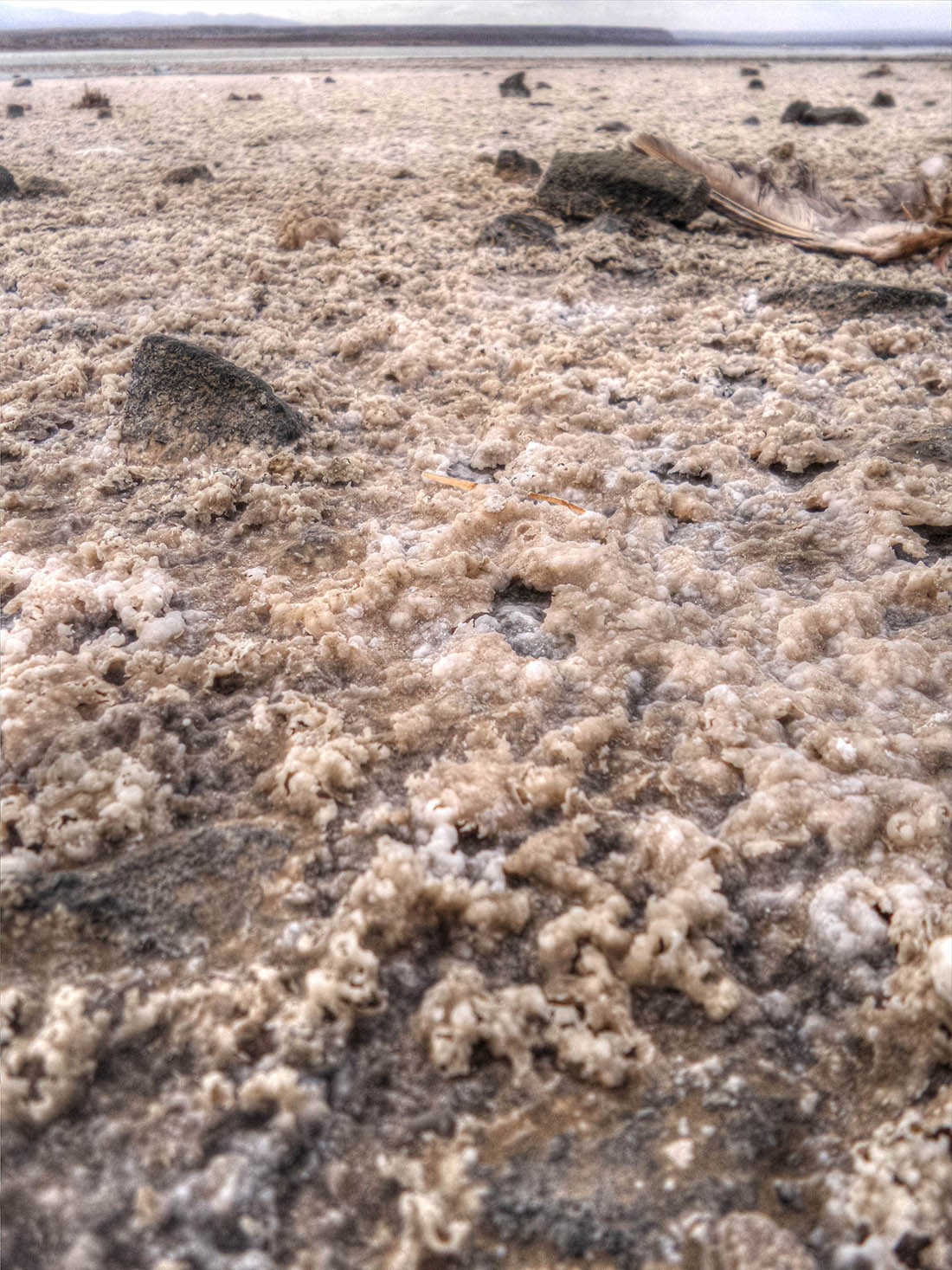 Lake Magadi_salt