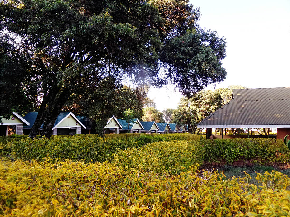 Rhino Camp_Outdoors1