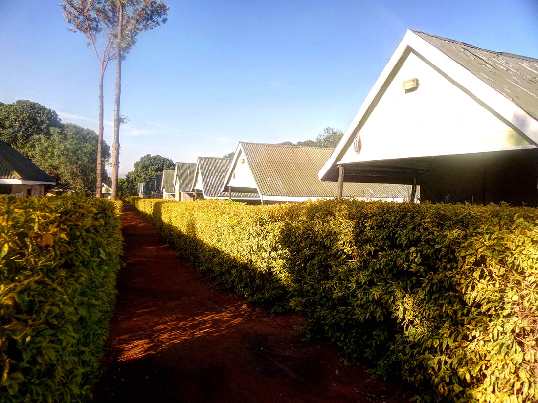 Rhino Camp_Rooms