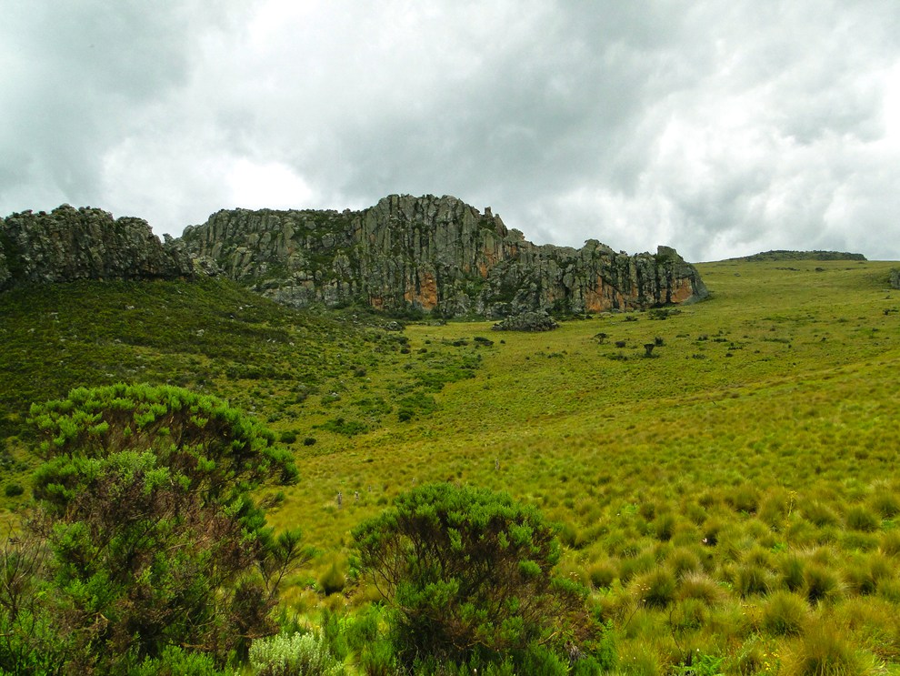 Aberdare National Park_of the rings