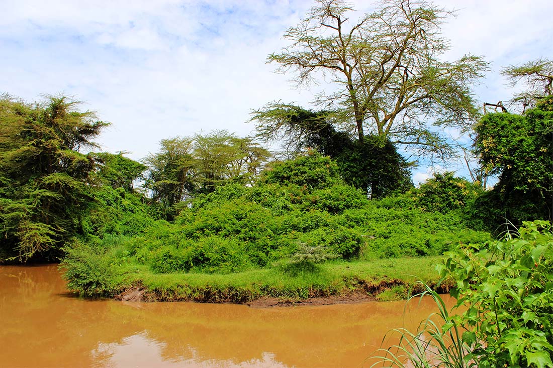 Sweetwaters Chimpanzee Sanctuary_Ewaso Nyiro river 2