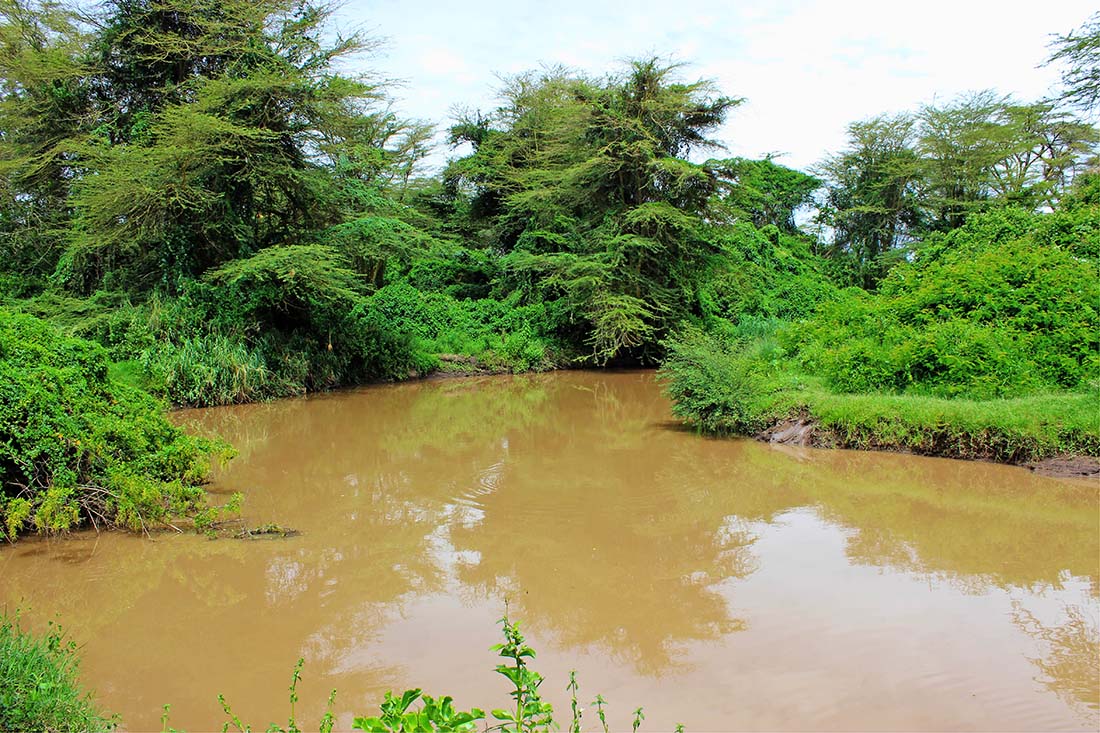 Sweetwaters Chimpanzee Sanctuary_Ewaso Nyiro river
