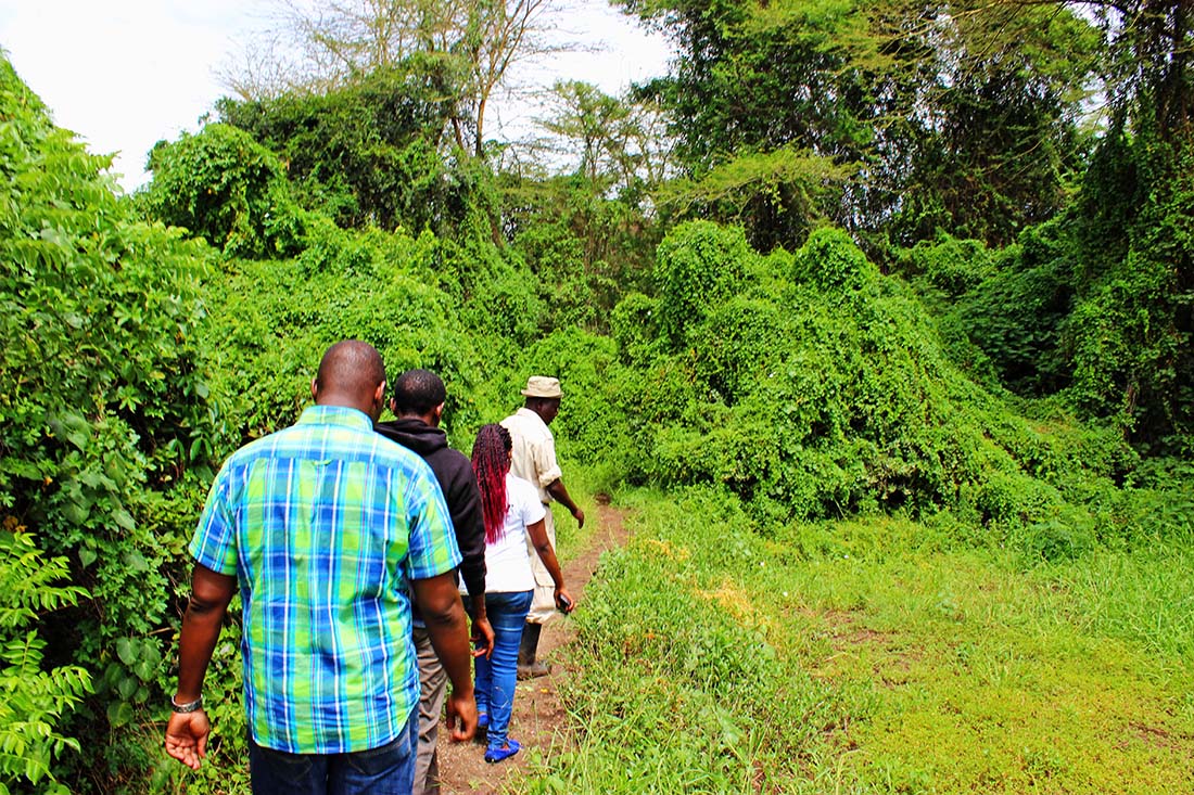 Sweetwaters Chimpanzee Sanctuary_path to enlosure