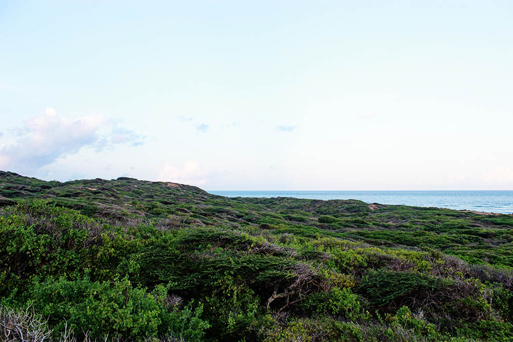 Takwa Ruins_Coast