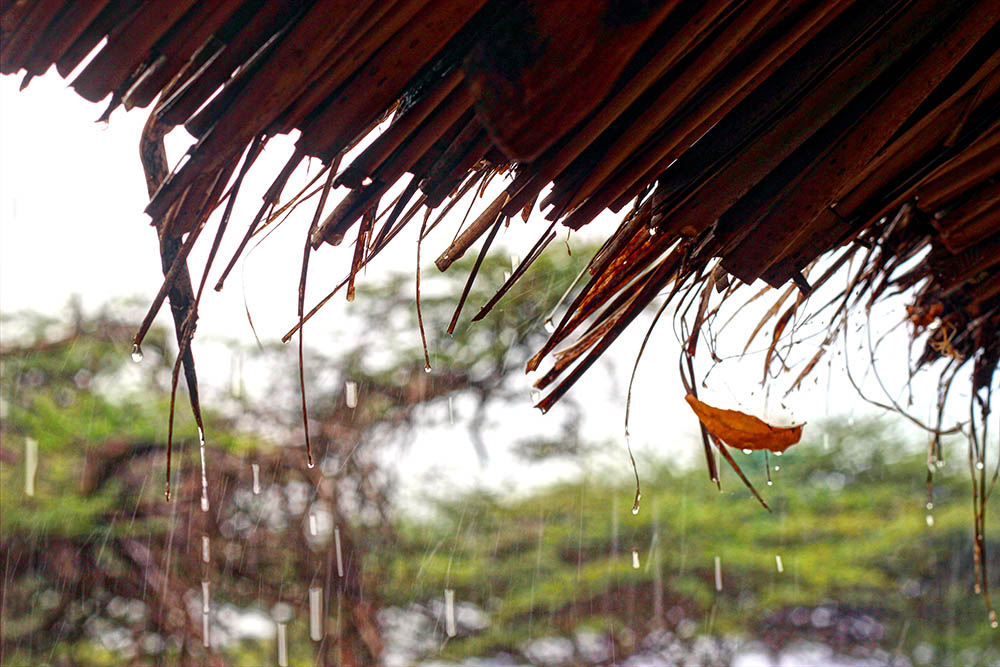 Takwa Ruins_Rain