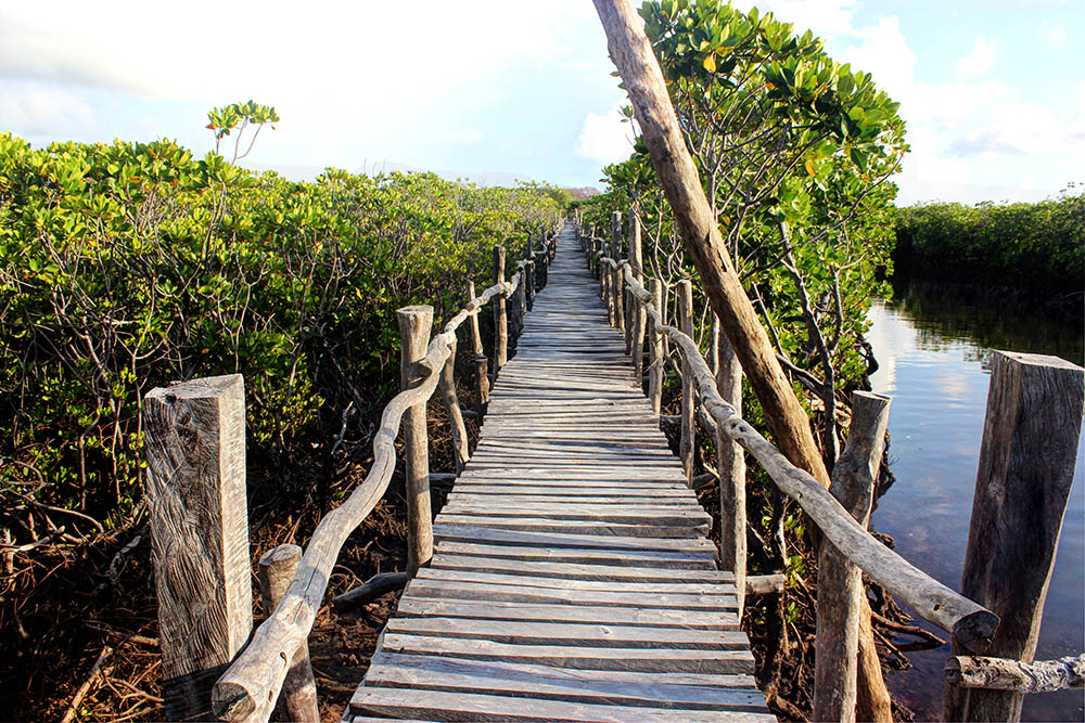 Takwa Ruins_Walkway 2