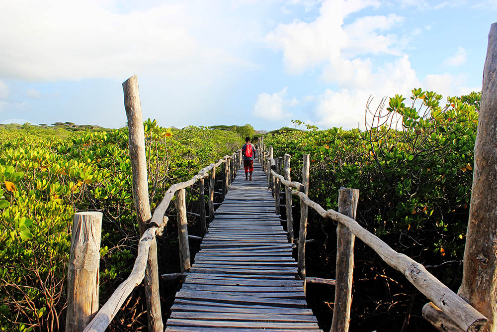 Takwa Ruins_Walkway