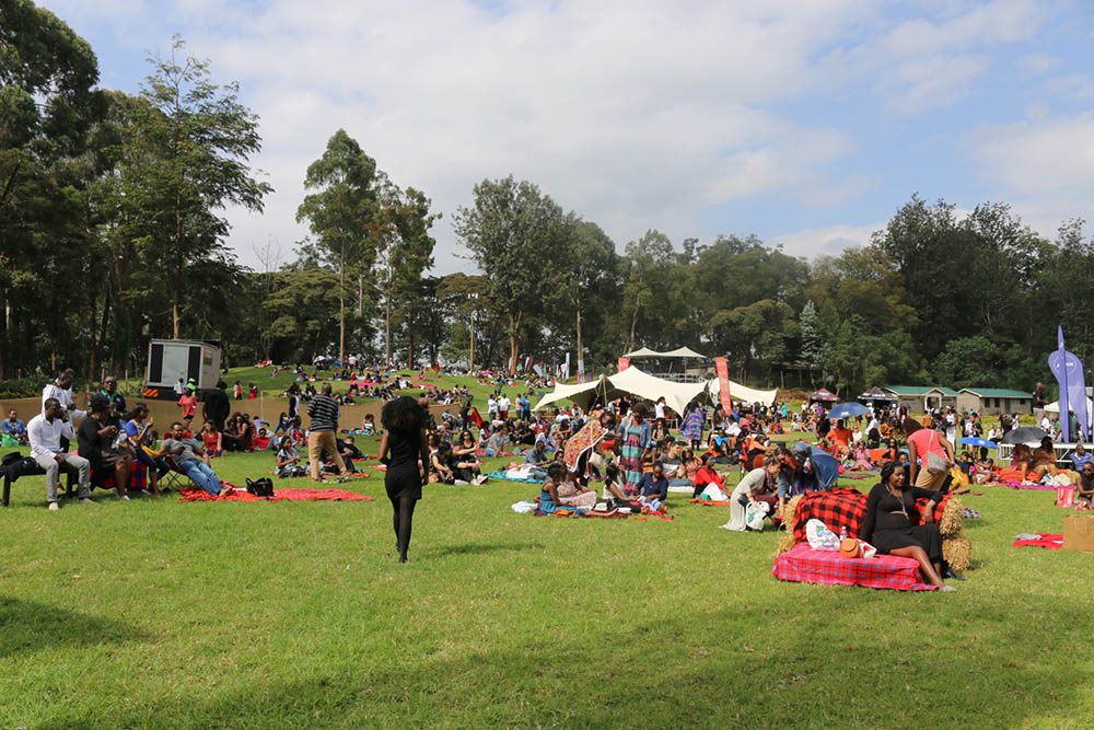 Blankets and Wine July 2016_Crowd