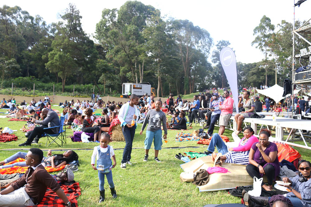 Blankets and Wine July 2016_Crowd1