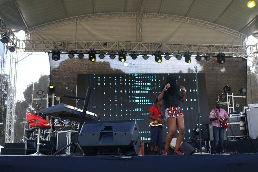 Blankets and Wine July 2016_Sage1