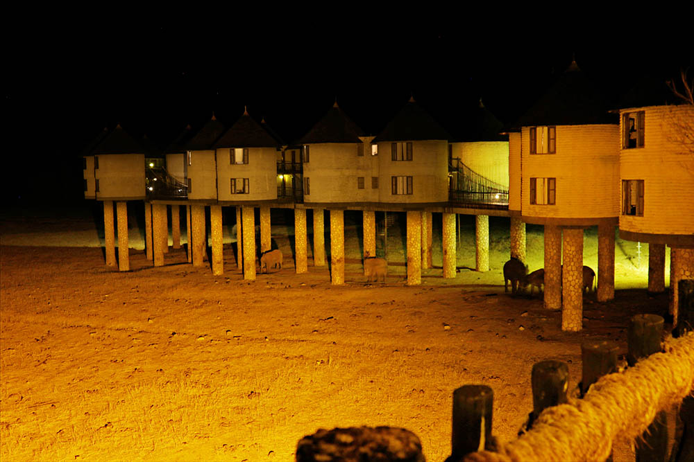 sarova-salt-lick-game-lodge-by-night
