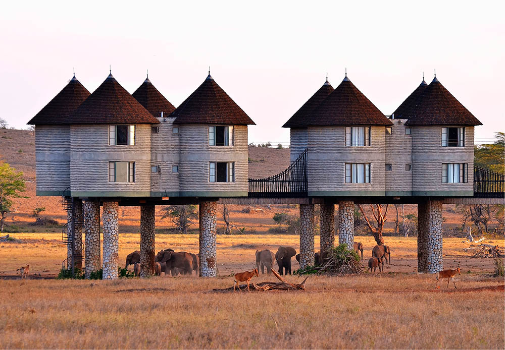 sarova-salt-lick-game-lodge