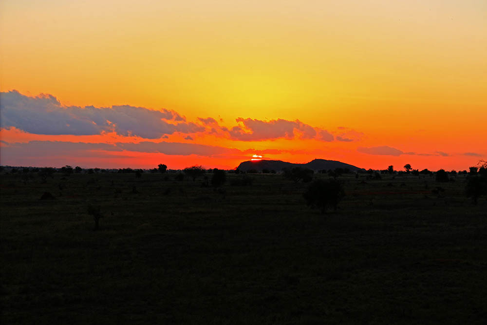 sarova-salt-lick-game-lodge_sunset